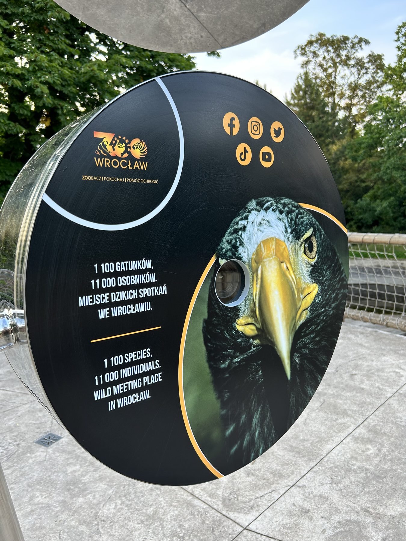 Look@ Tree disc with ZOO Wrocław eagle artwork and visitor instructions